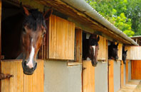 free Catton stable construction quotes